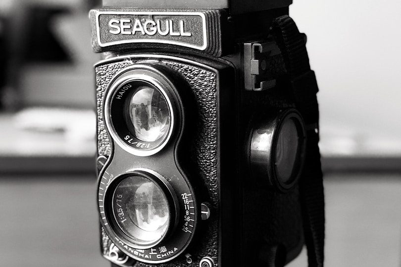 Appareil photo vintage Seagull en noir et blanc, avec deux objectifs.