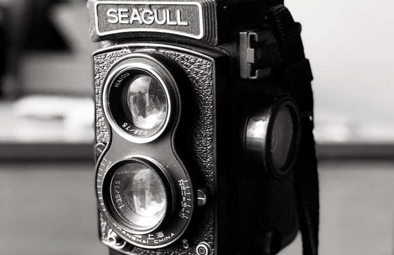 Un appareil photo vintage Seagull en noir et blanc, avec deux lentilles à l'avant.